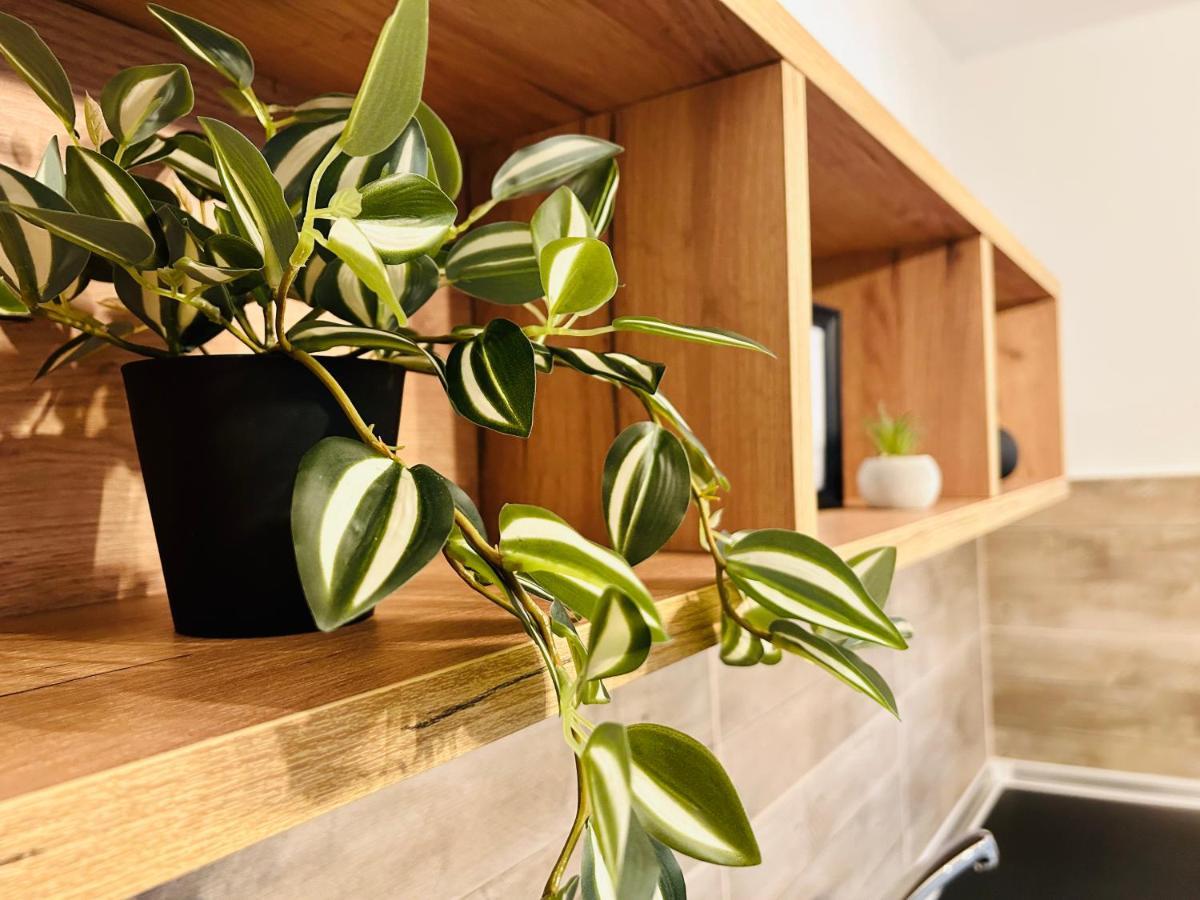 Ithaca Σπίτι Με Αυτόνομη Είσοδο Apartment เทสซาโลนิกิ ภายนอก รูปภาพ
